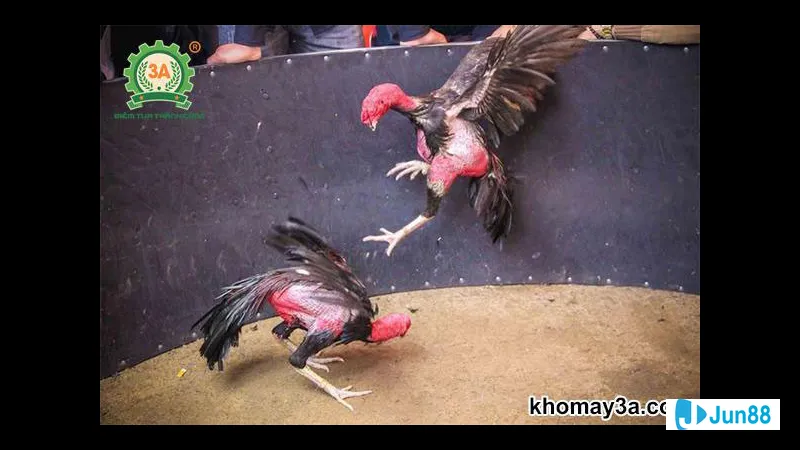 Bước 1: xác định trọng lượng và mục