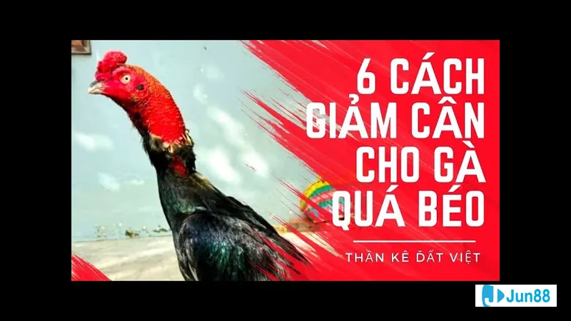 Thể hiện sức mạnh tập luyện