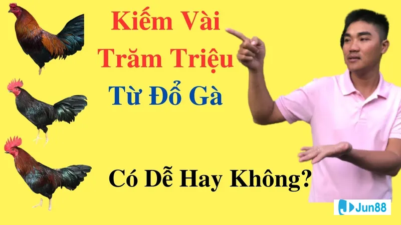 Gà đang quan sát một con cá