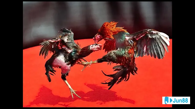 Học kinh nghiệm từ người đi trước