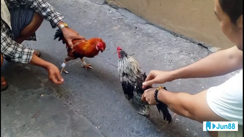 Nhân viên văn phòng làm việc cùng nhau