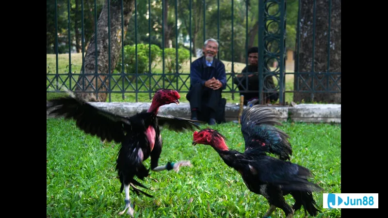 Vai trò của lối đá trong thi đấu