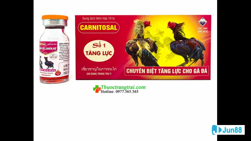 Hộp thuốc phục hồi đa nhiệm Hộp thuốc phục hồi đa nhiệm