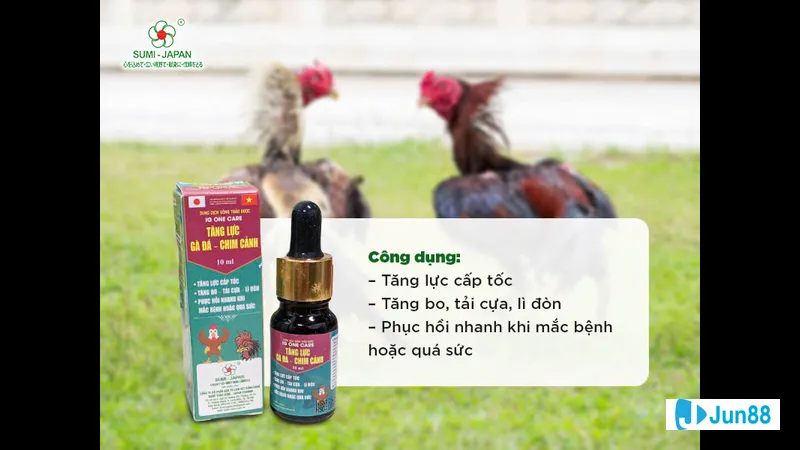 Tuân Thủ Liều Lượng Tuân Thủ Liều Lượng